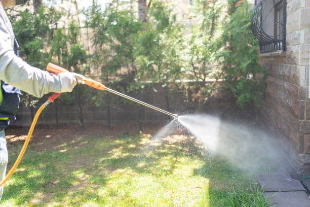 Best Seasonal Pest Control (e.g., summer mosquitoes, winter rodents)  in Dale, IN